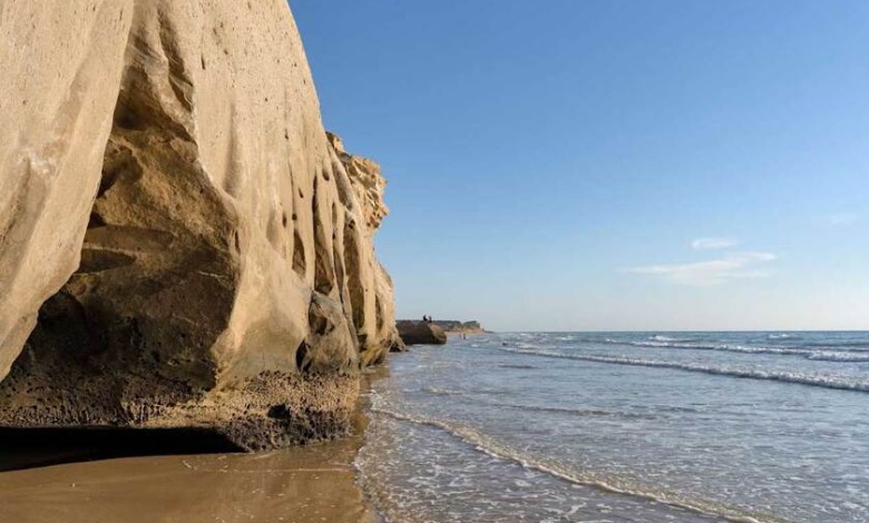 پارک ساحلی نخل تقی